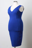 Plus Size Sleeveless Bodycon Dress